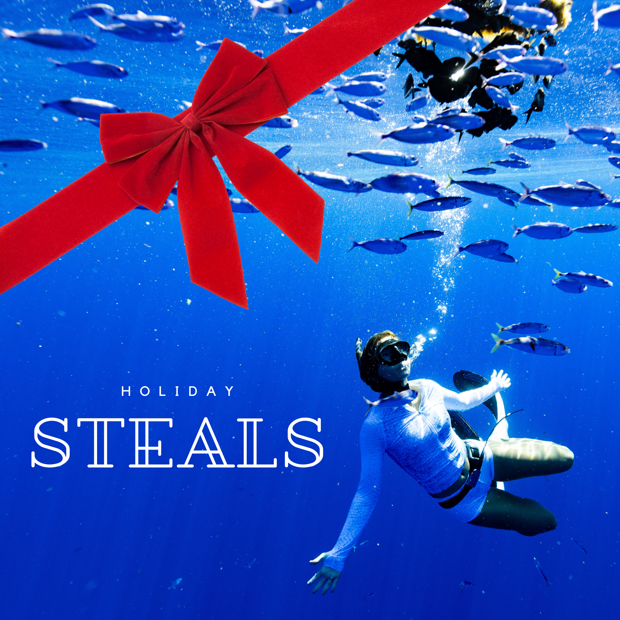 Holiday Steals